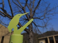 瀬戸内市内のキャンプ場の開設状況について（2020年7月28日時点）