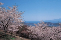 岡山いこいの村