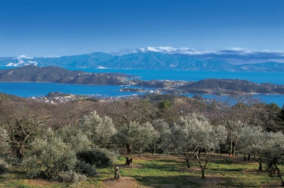 牛窓オリーブ園