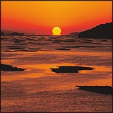 迫門（せと）の曙