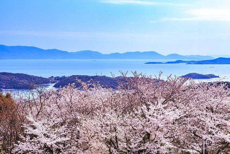 岡山いこいの村(迫門の曙、牡蠣、動物)/虫明焼窯元