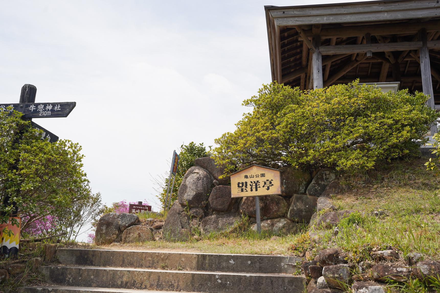 牛窓神社の「ツツジ」が見ごろです！-4