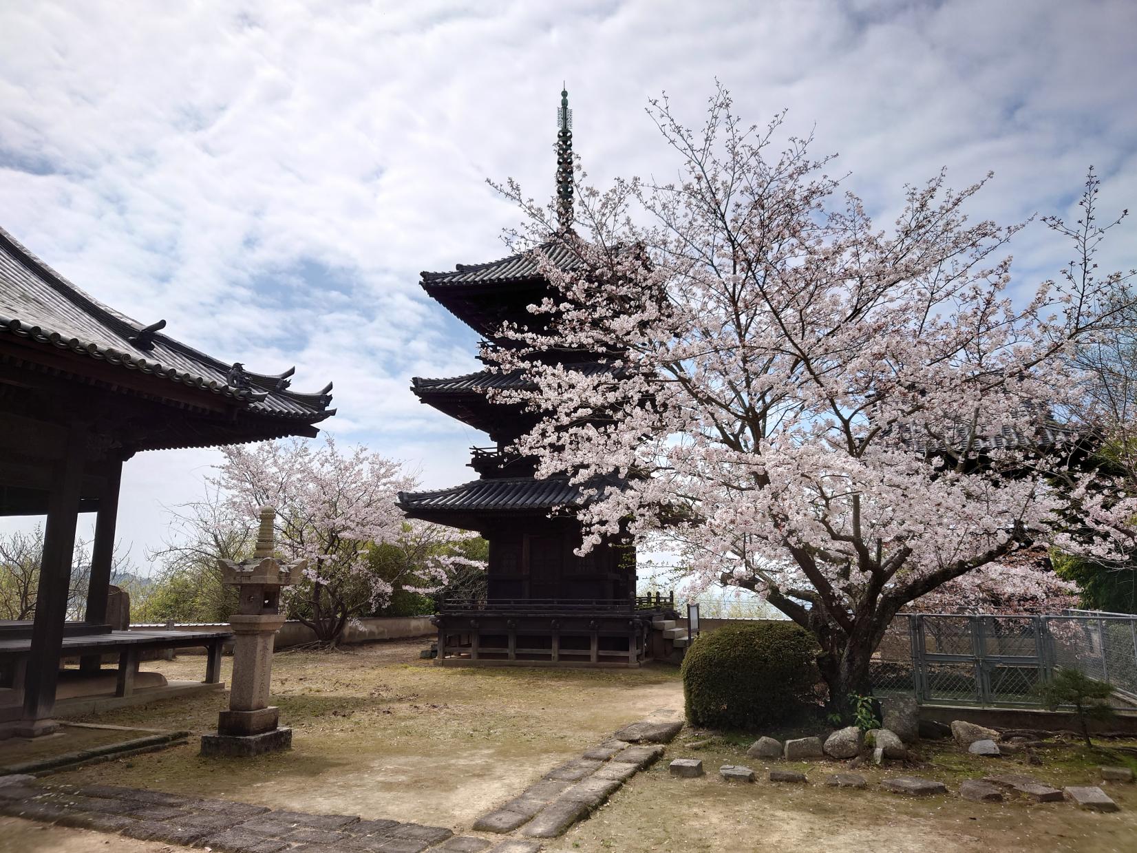本蓮寺-1