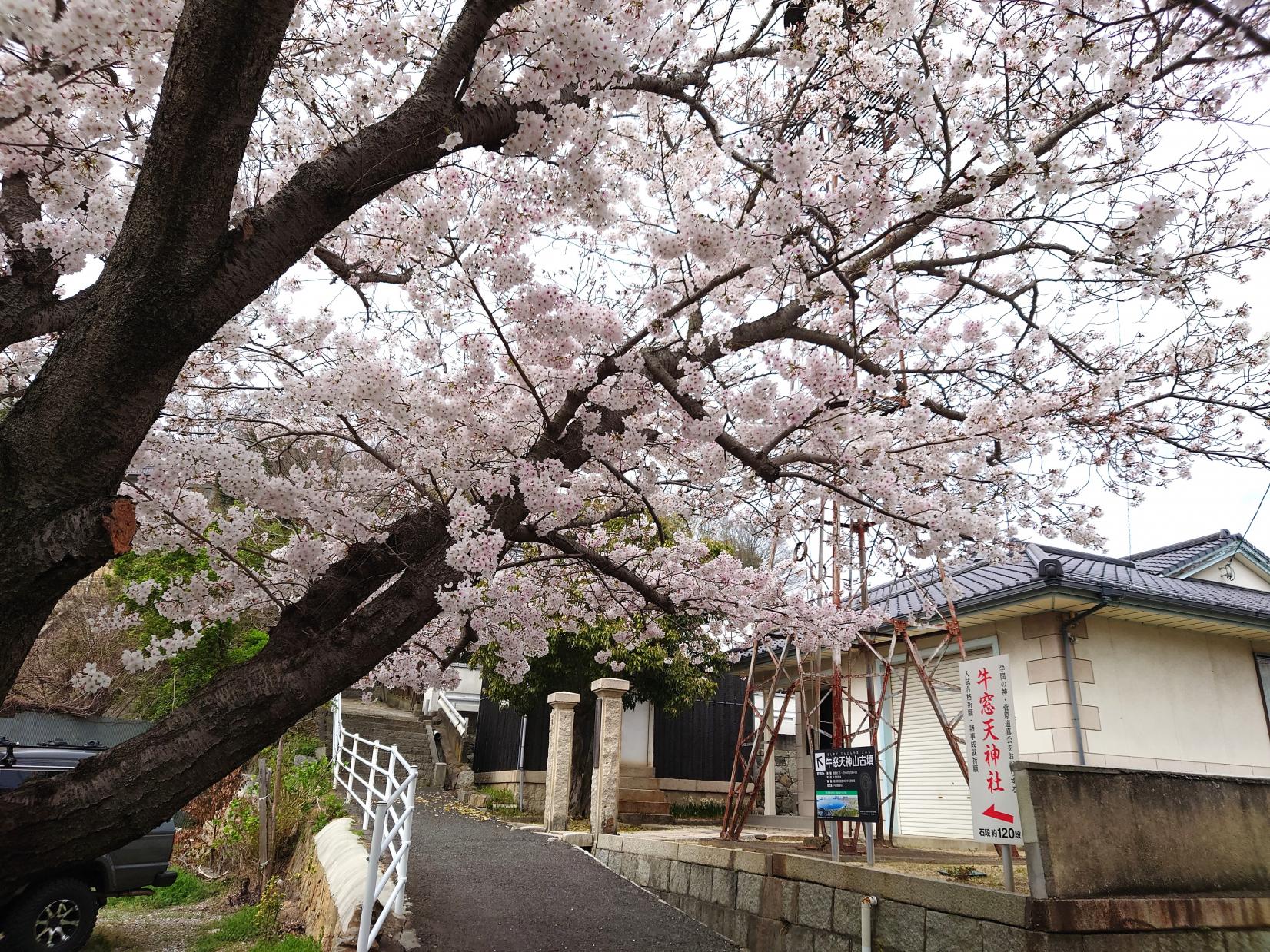 牛窓天神社-0