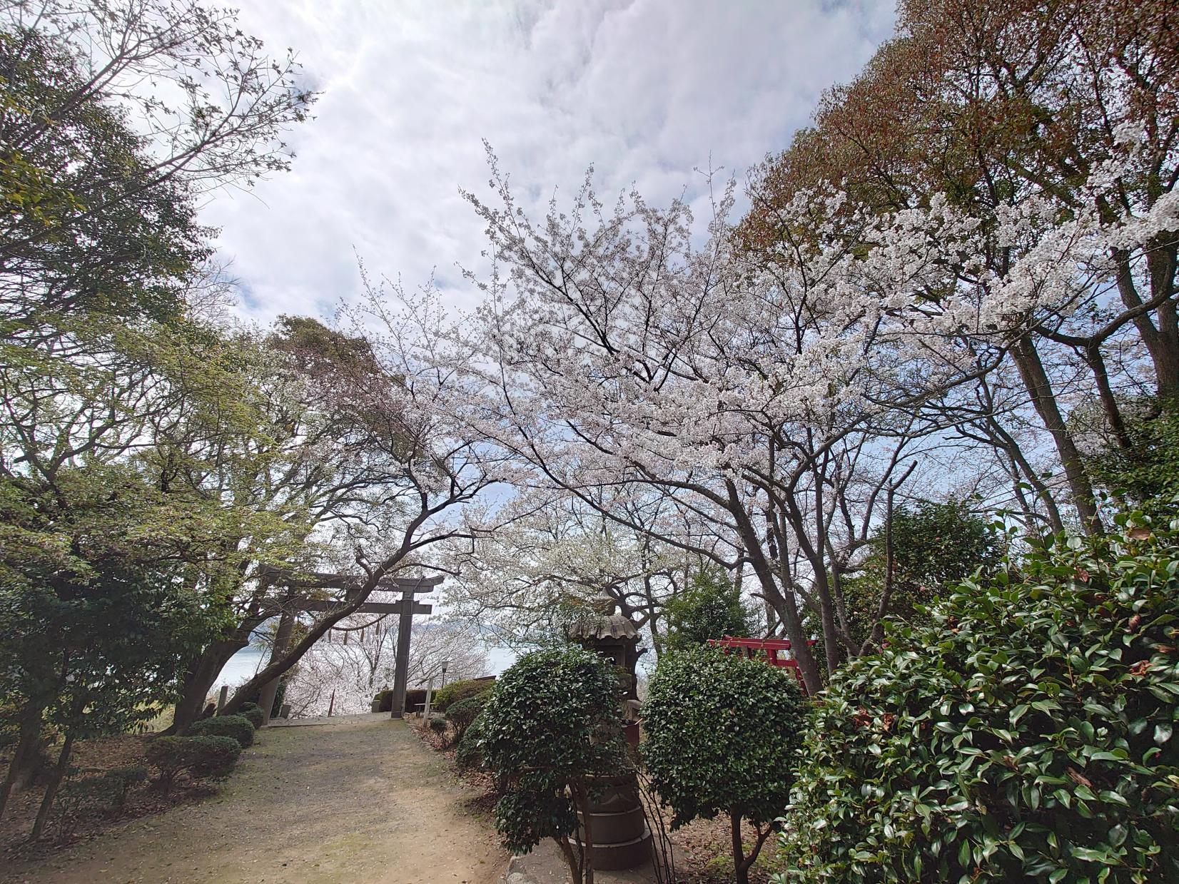 牛窓天神社-3