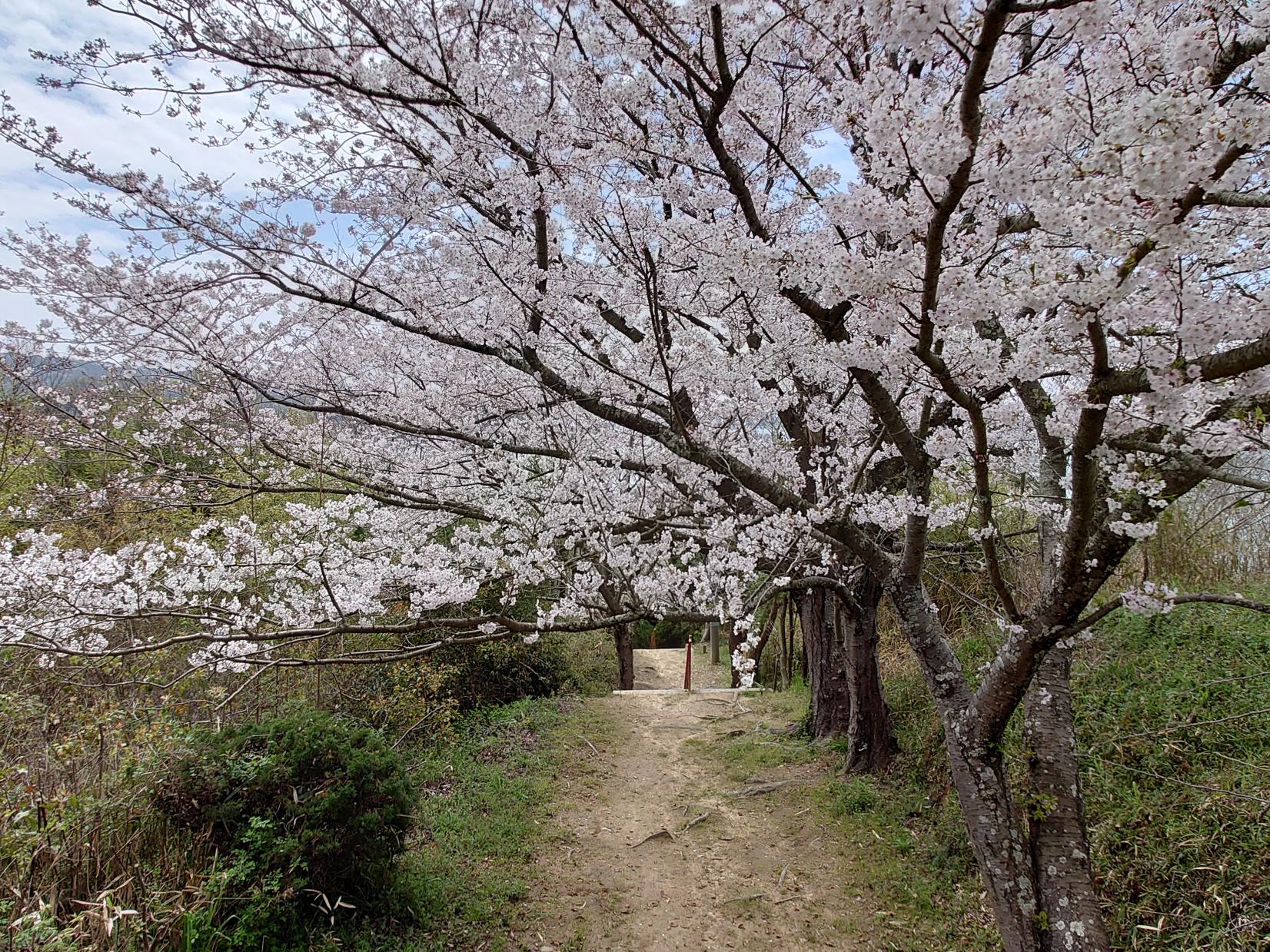 牛窓天神社-5