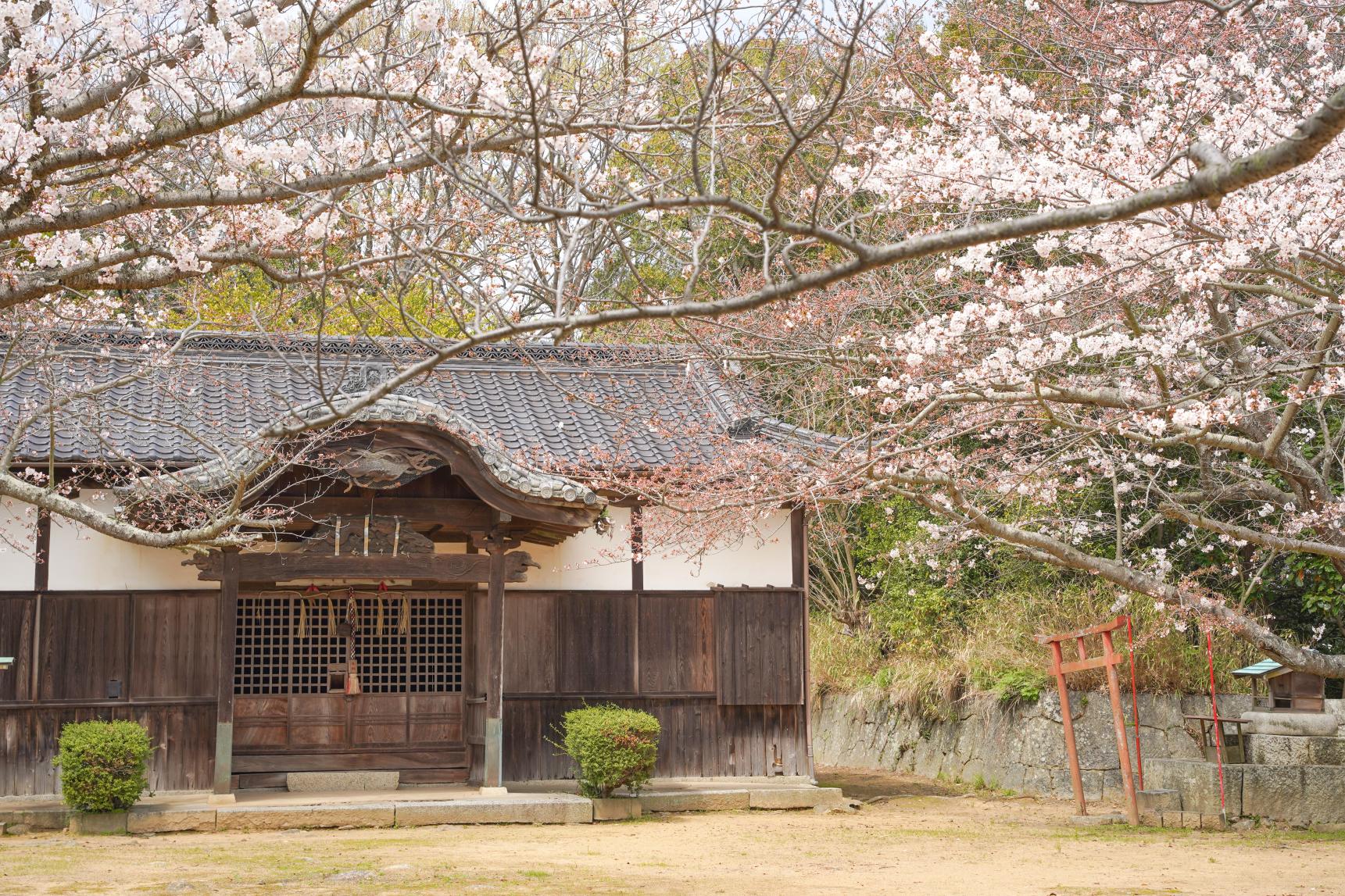 金毘羅宮荒神社-8