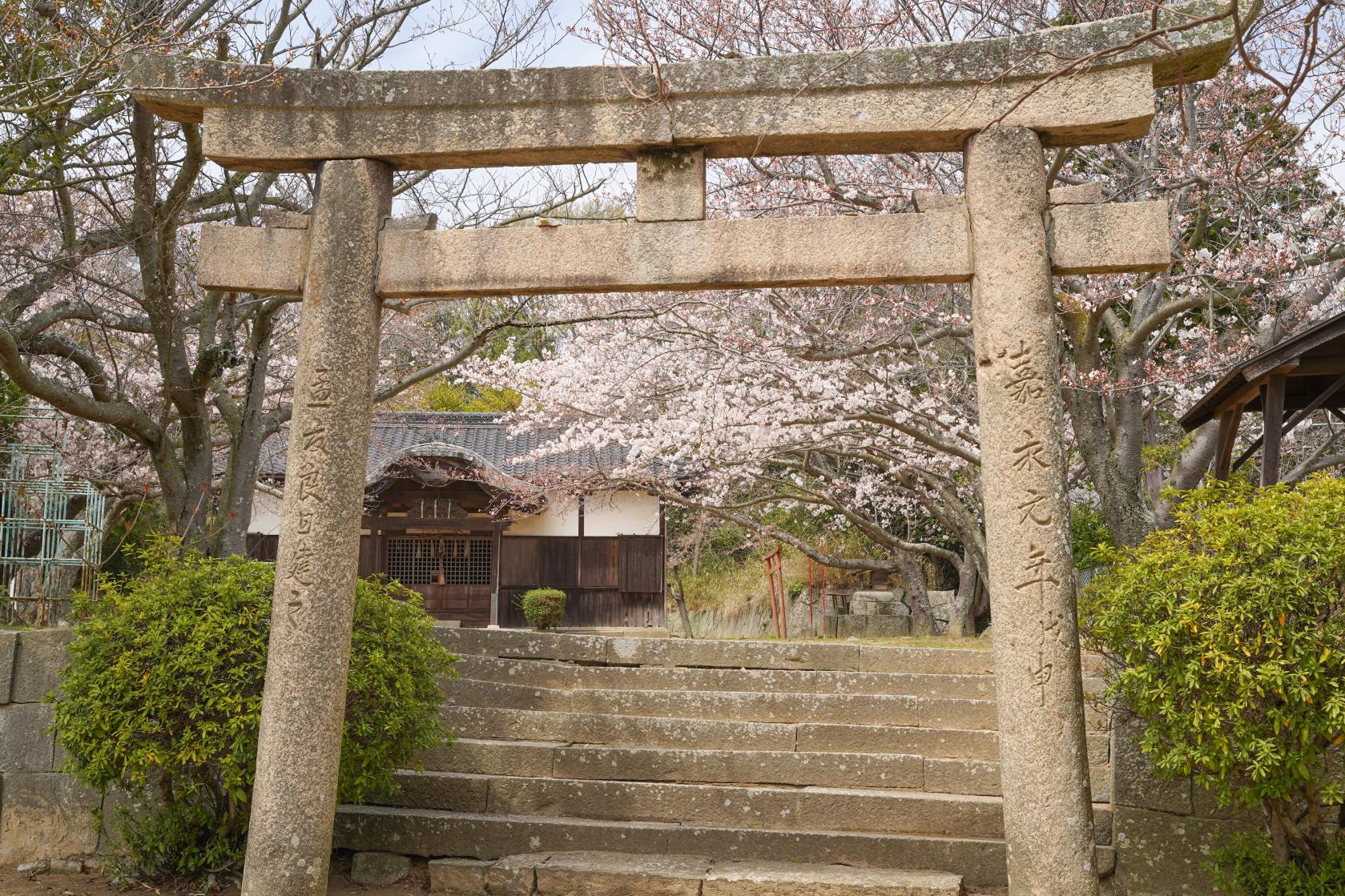 金毘羅宮荒神社-2