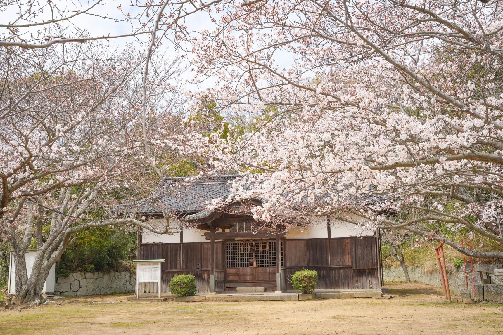 金毘羅宮荒神社-0