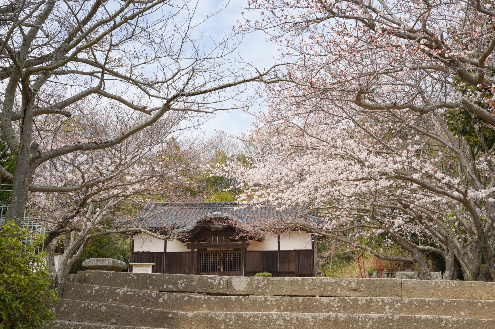 金毘羅宮荒神社-7