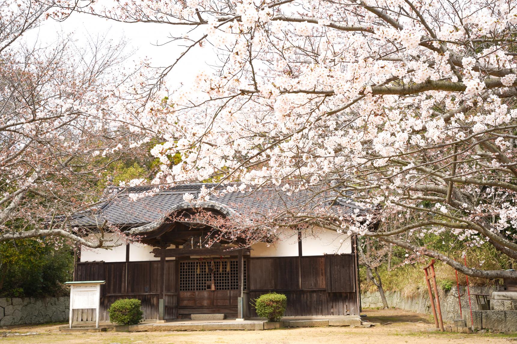 金毘羅宮荒神社-3