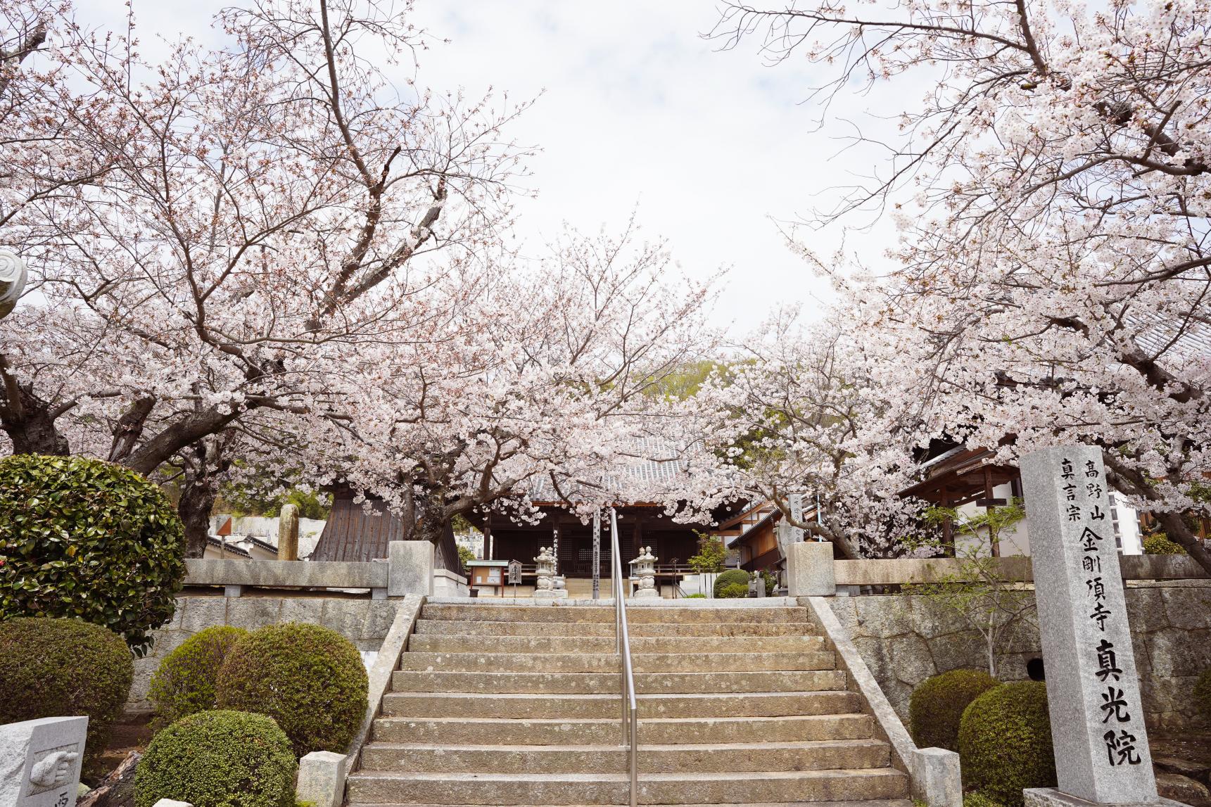 真光院西寺-3