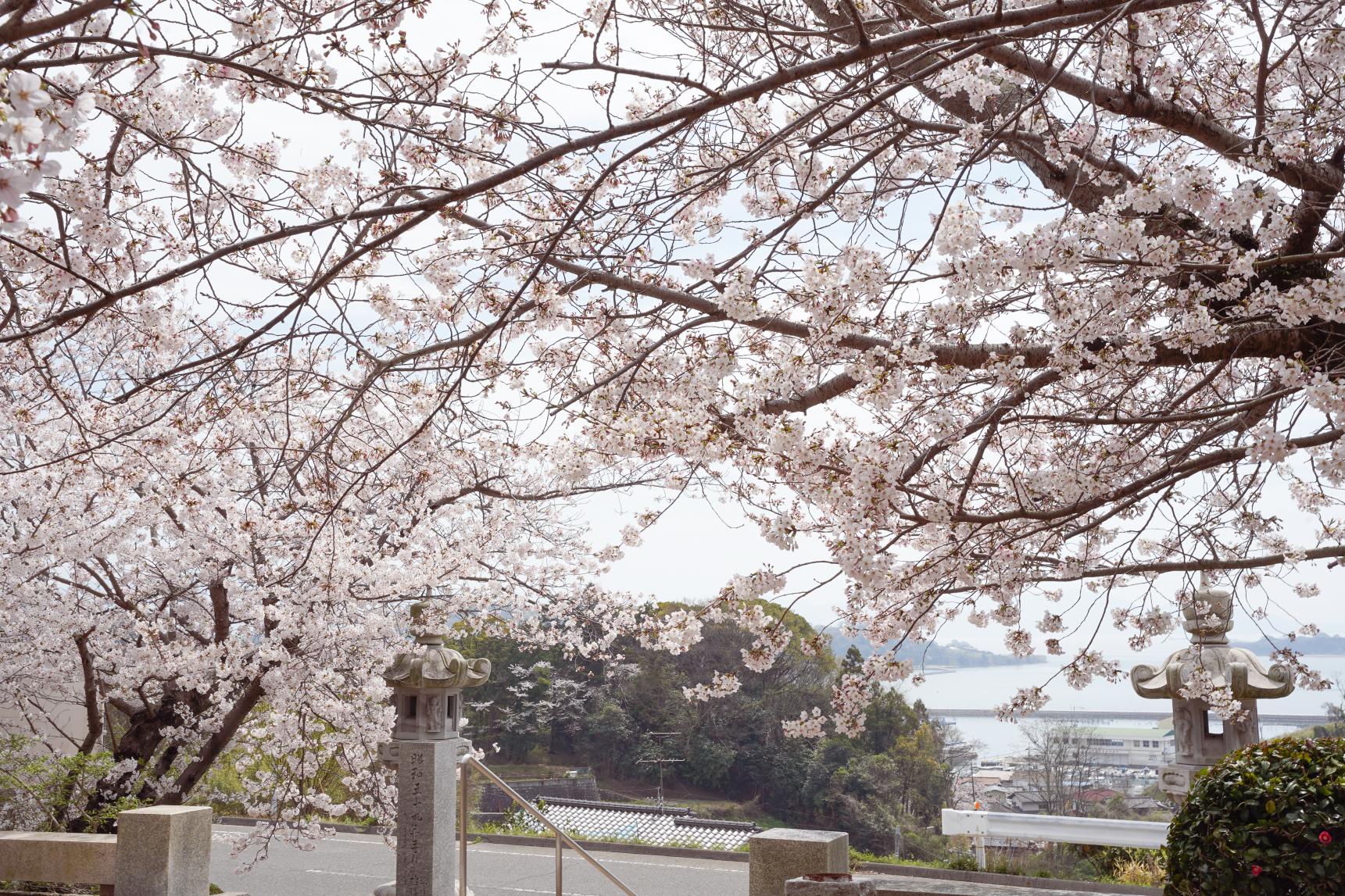 真光院西寺-0