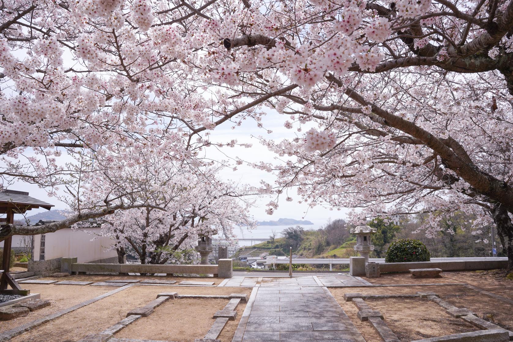 真光院西寺-6