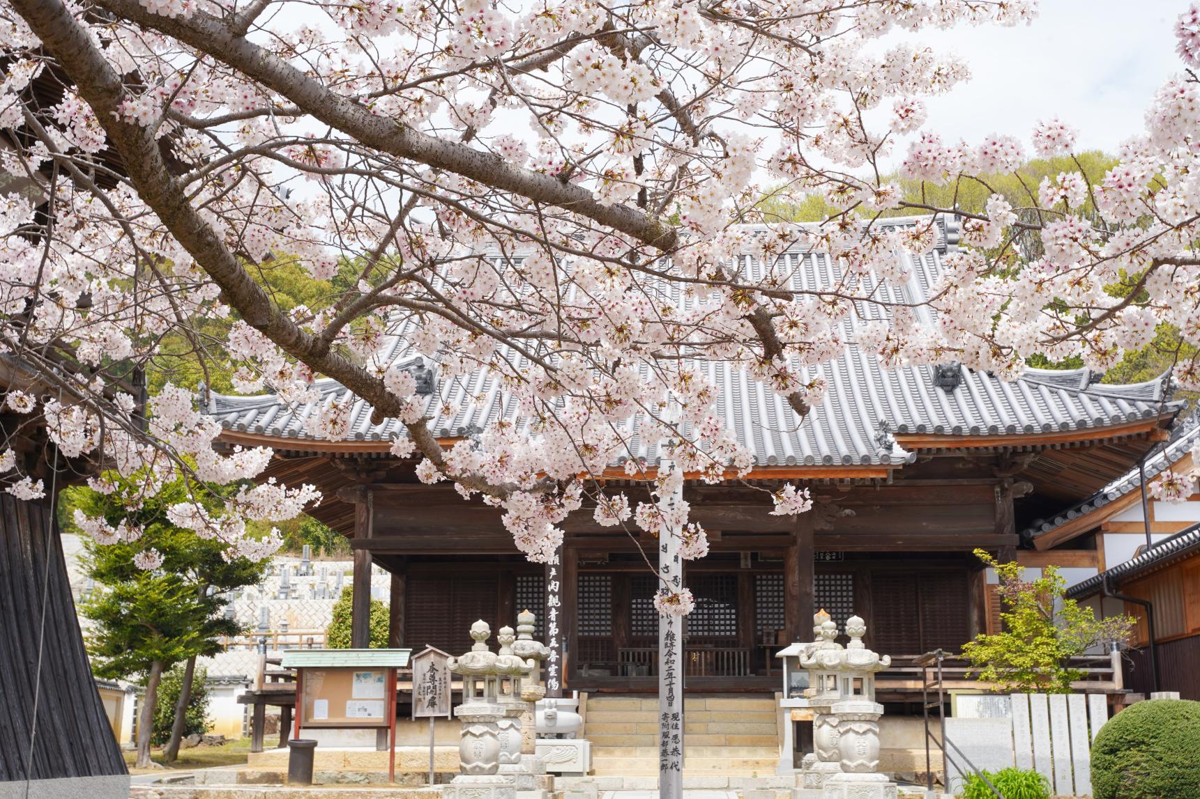 真光院西寺-2