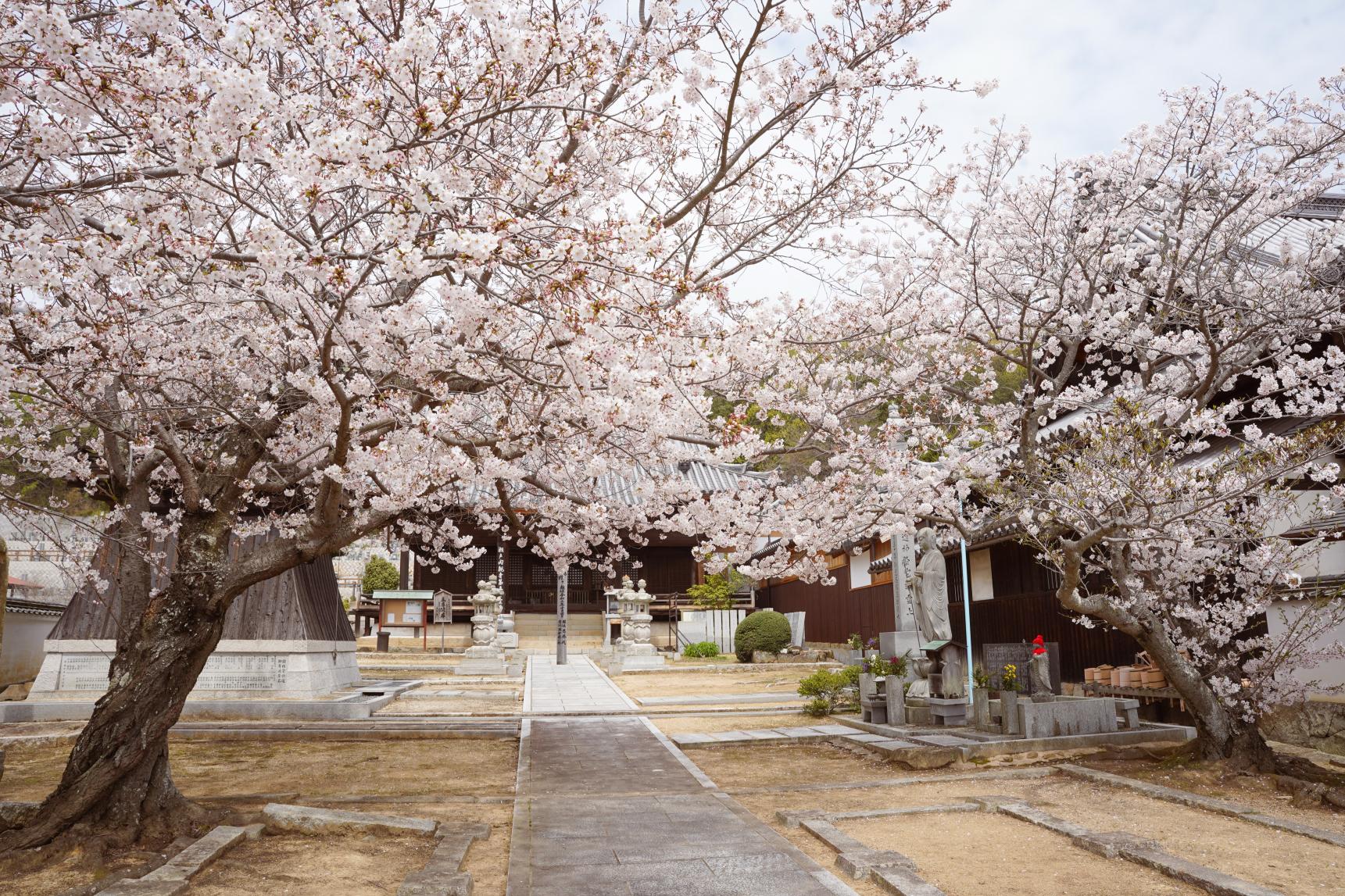 真光院西寺-8