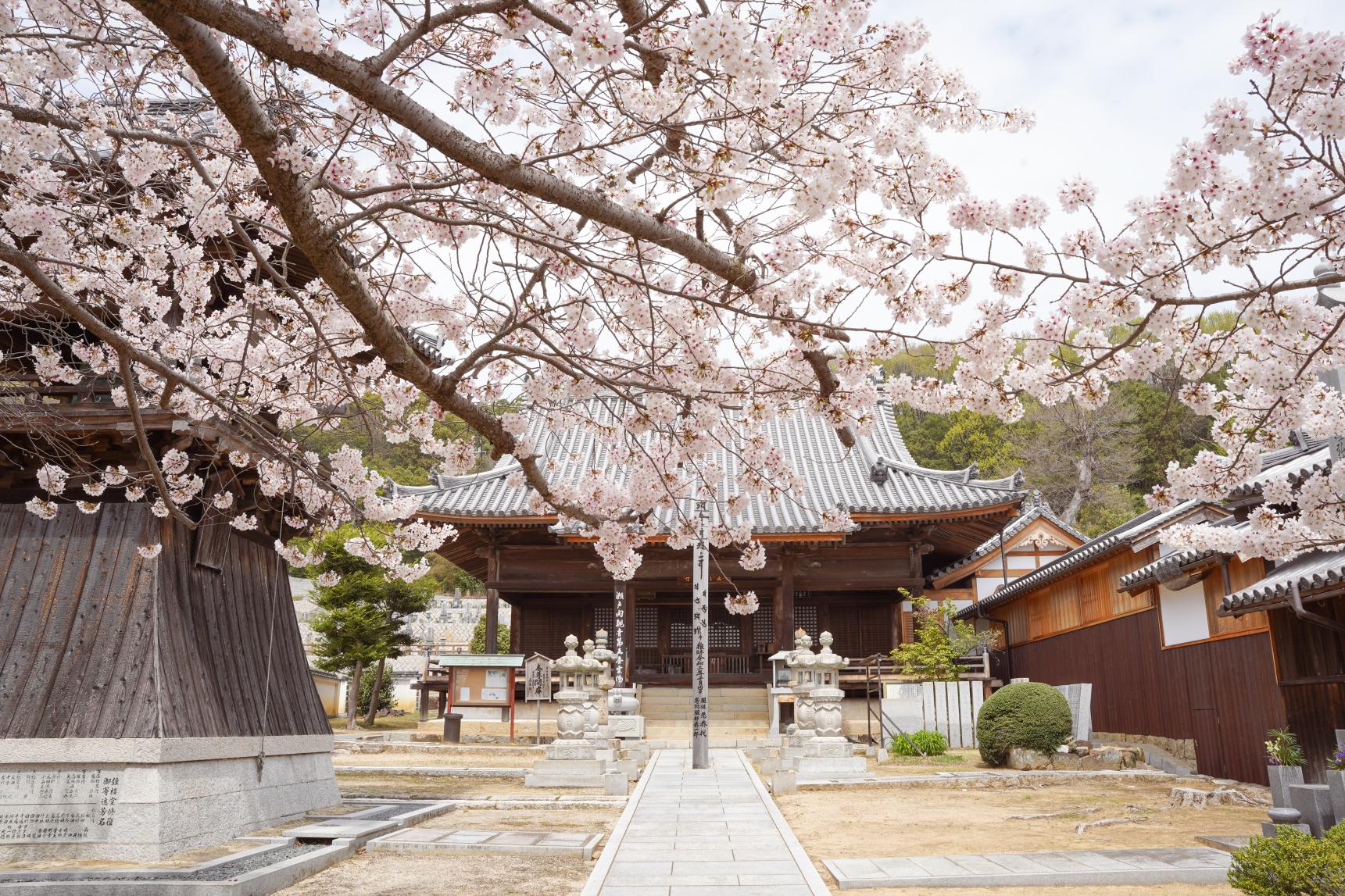 真光院西寺-7