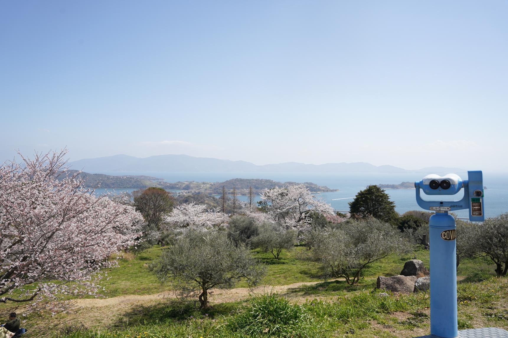 牛窓オリーブ園-3