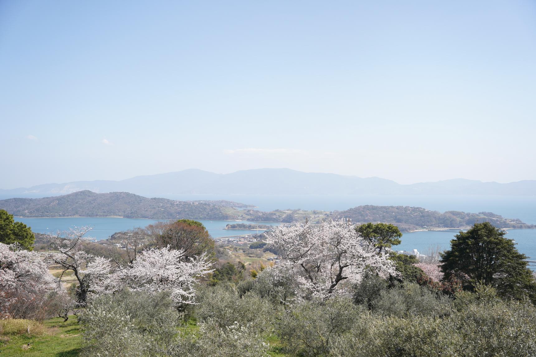 牛窓オリーブ園-0