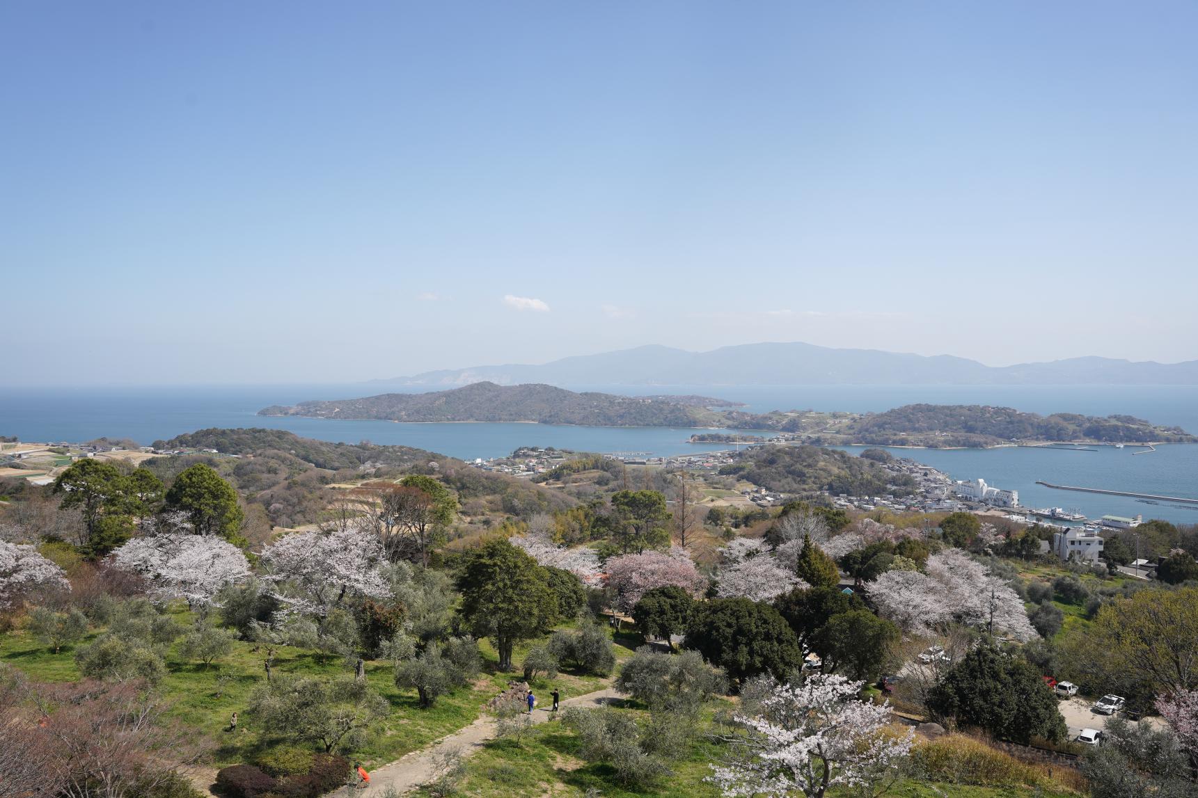 牛窓オリーブ園-4