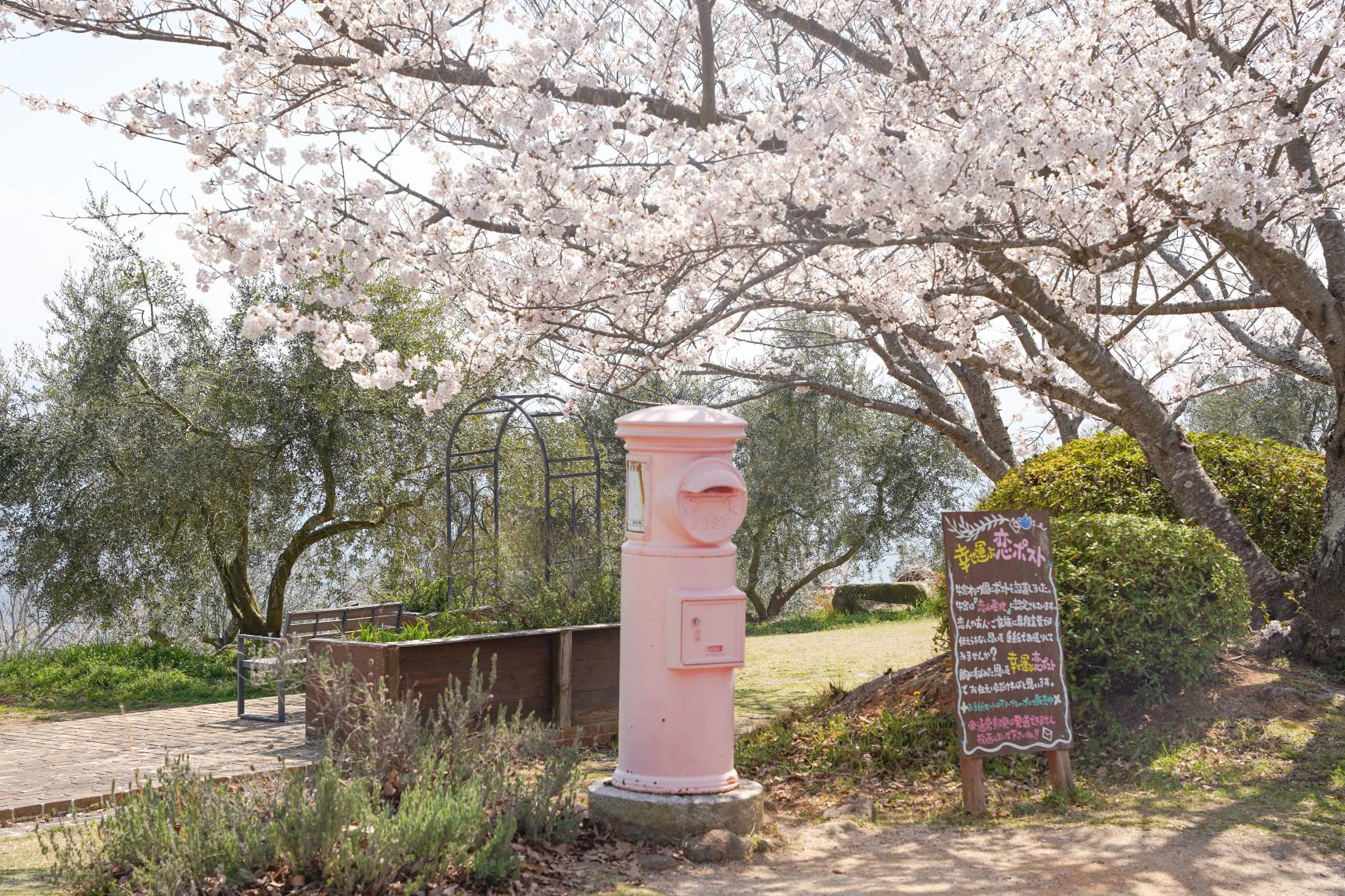 牛窓オリーブ園-1