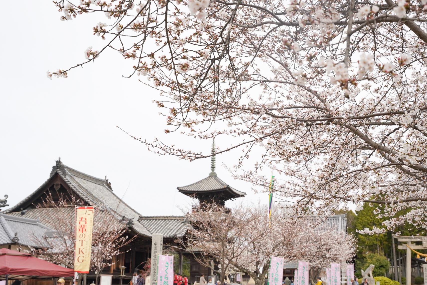上寺山餘慶寺　-3