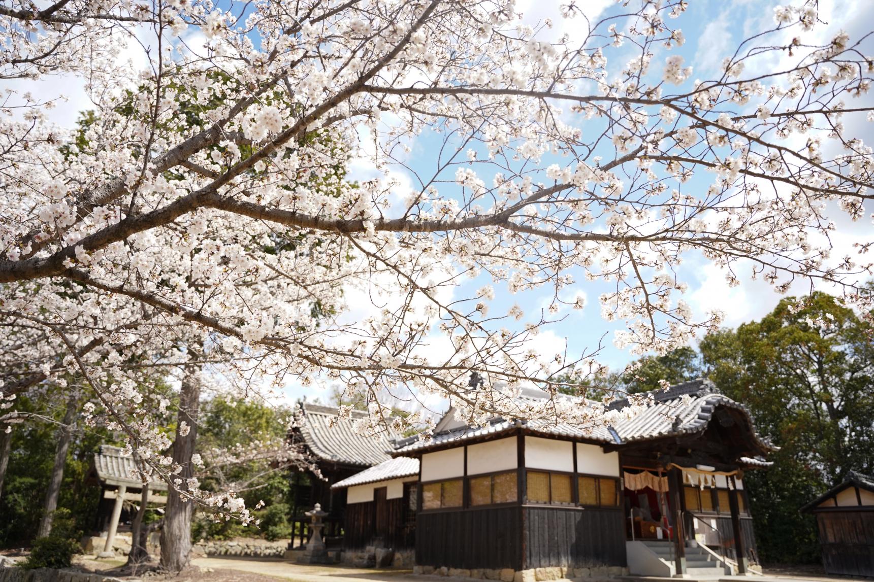 貴船神社　-1