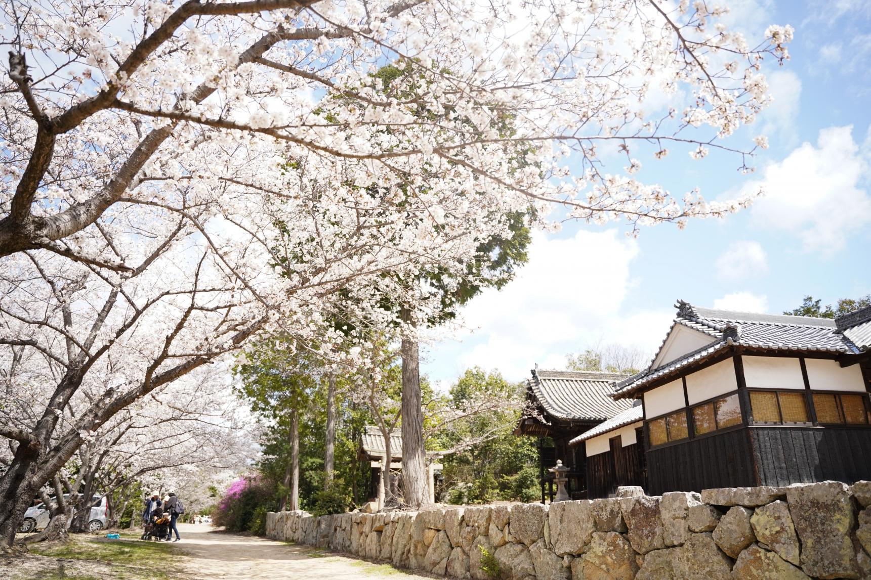 貴船神社　-3