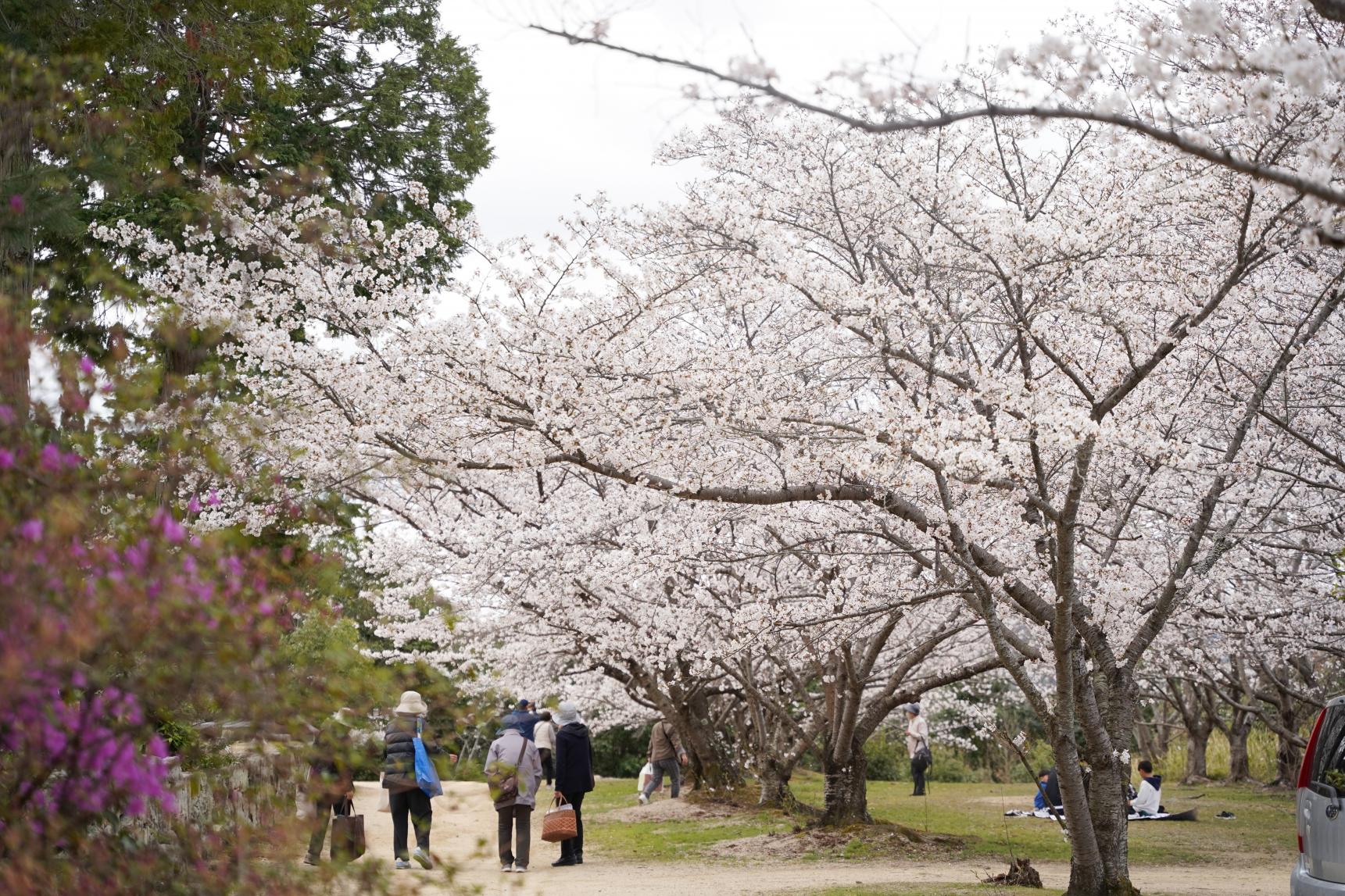 貴船神社　-2