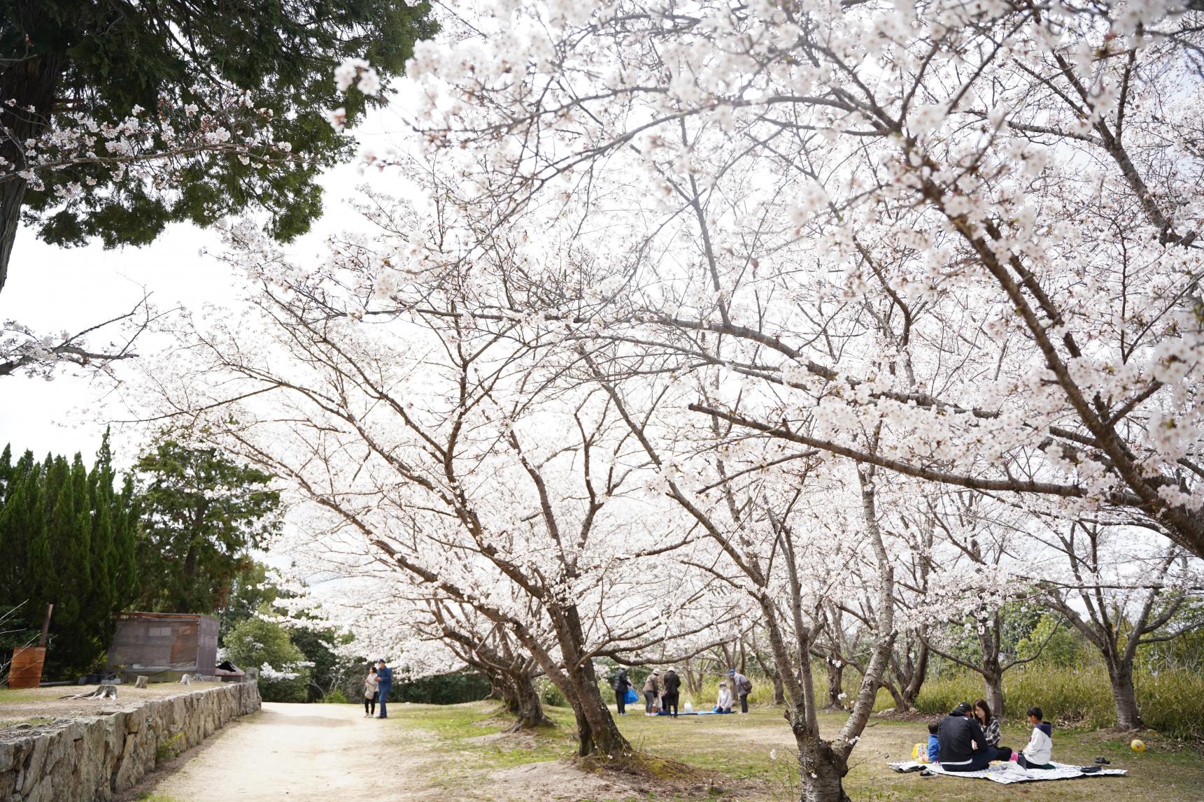 貴船神社　-4