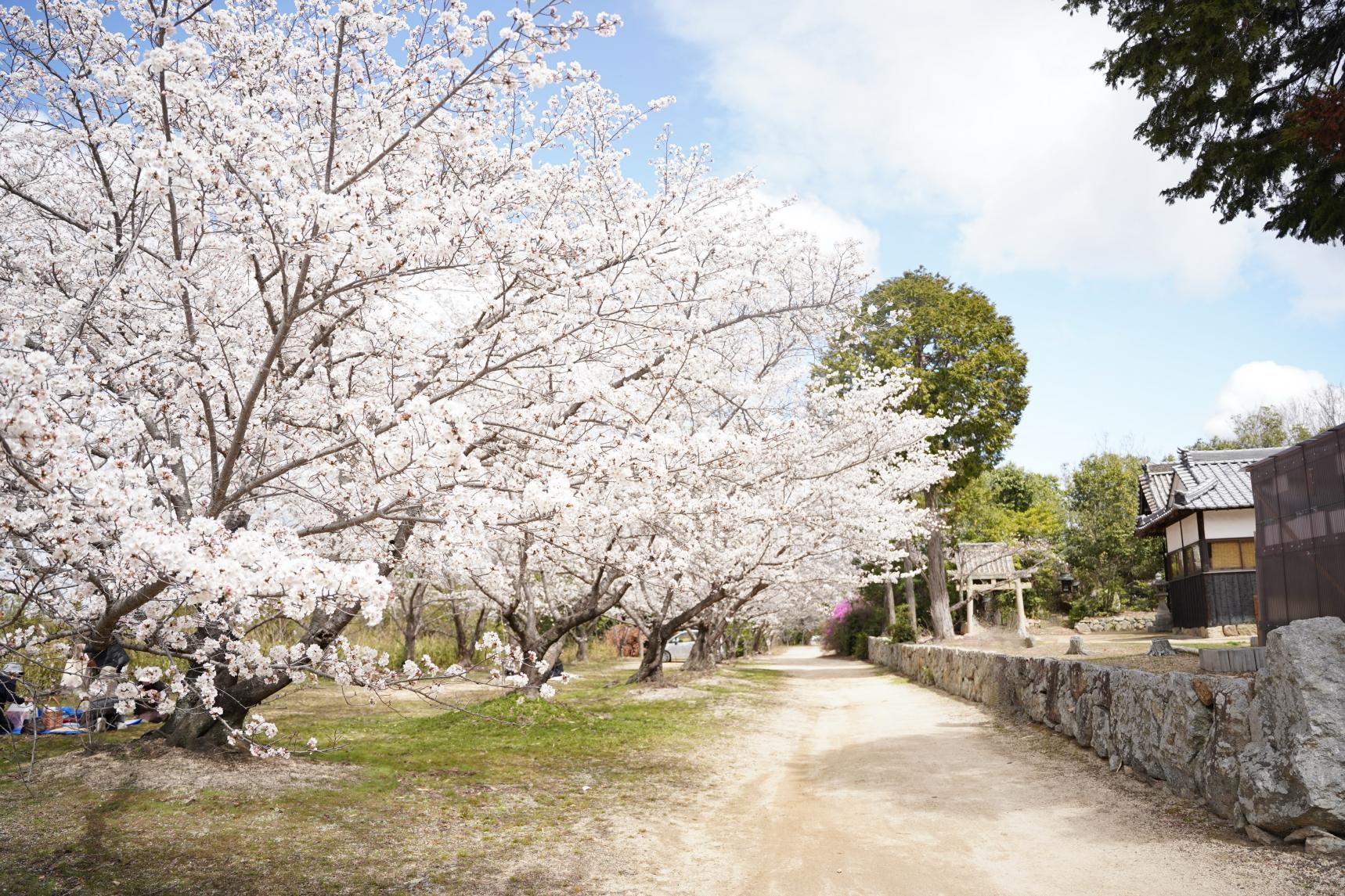 貴船神社　-0