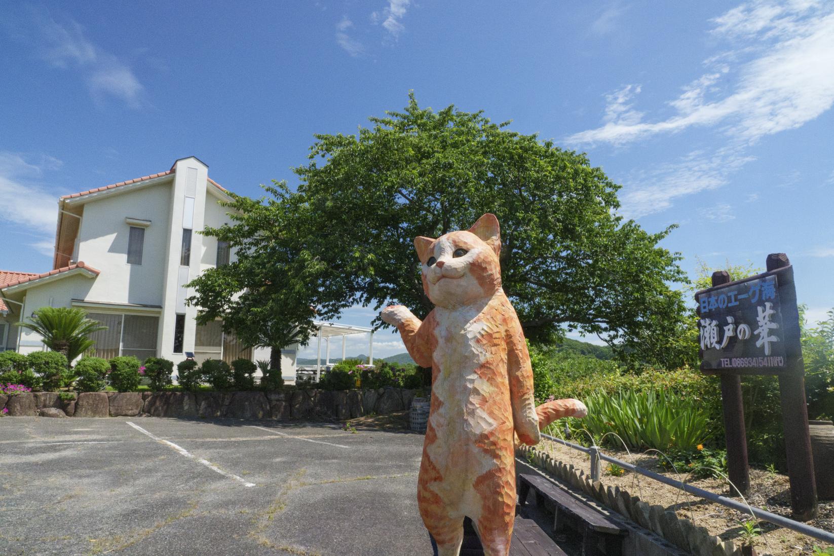 瀬戸の華-1
