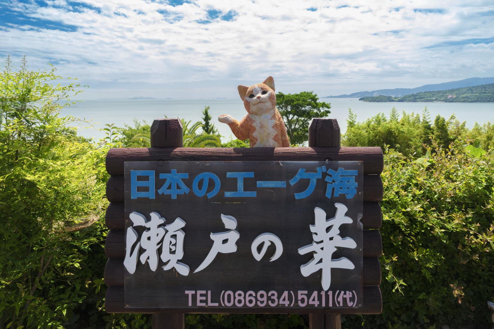 瀬戸の華-0