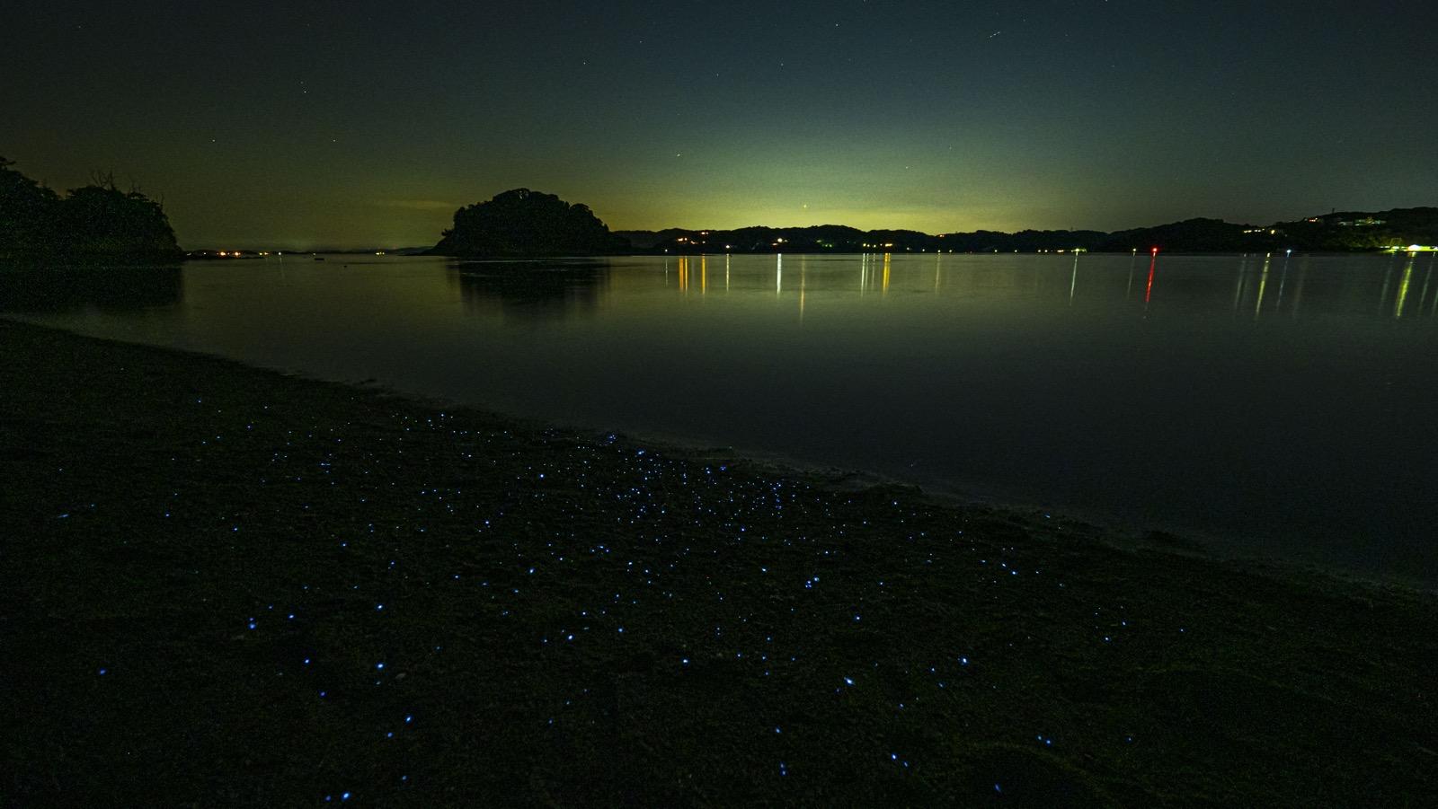 海ほたると星空-0