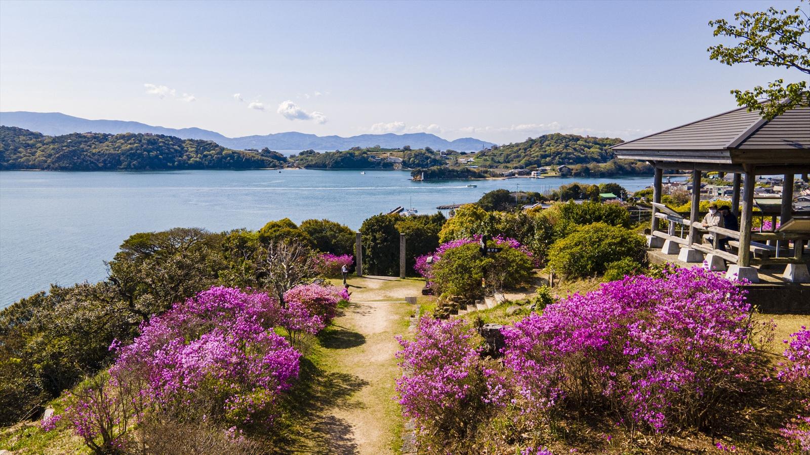 牛窓神社、望洋亭のツツジ-0