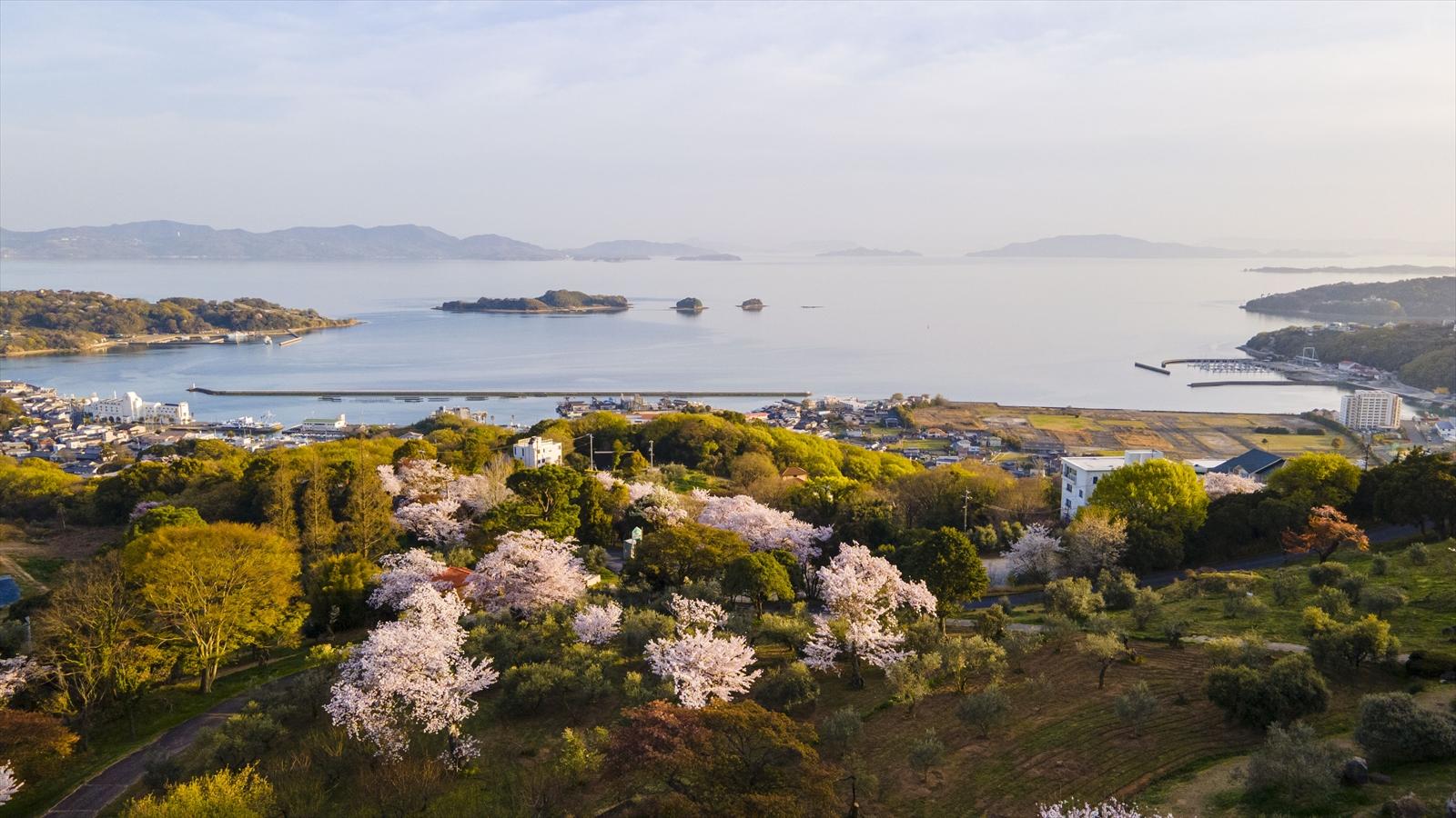 瀬戸内市内のさくらの見どころ-0