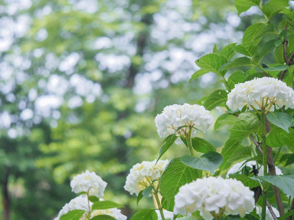 雨でも楽しめるおすすめスポット-1