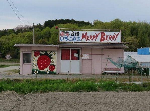 章姫イチゴと有機JAS米　MERRY BERRY-2