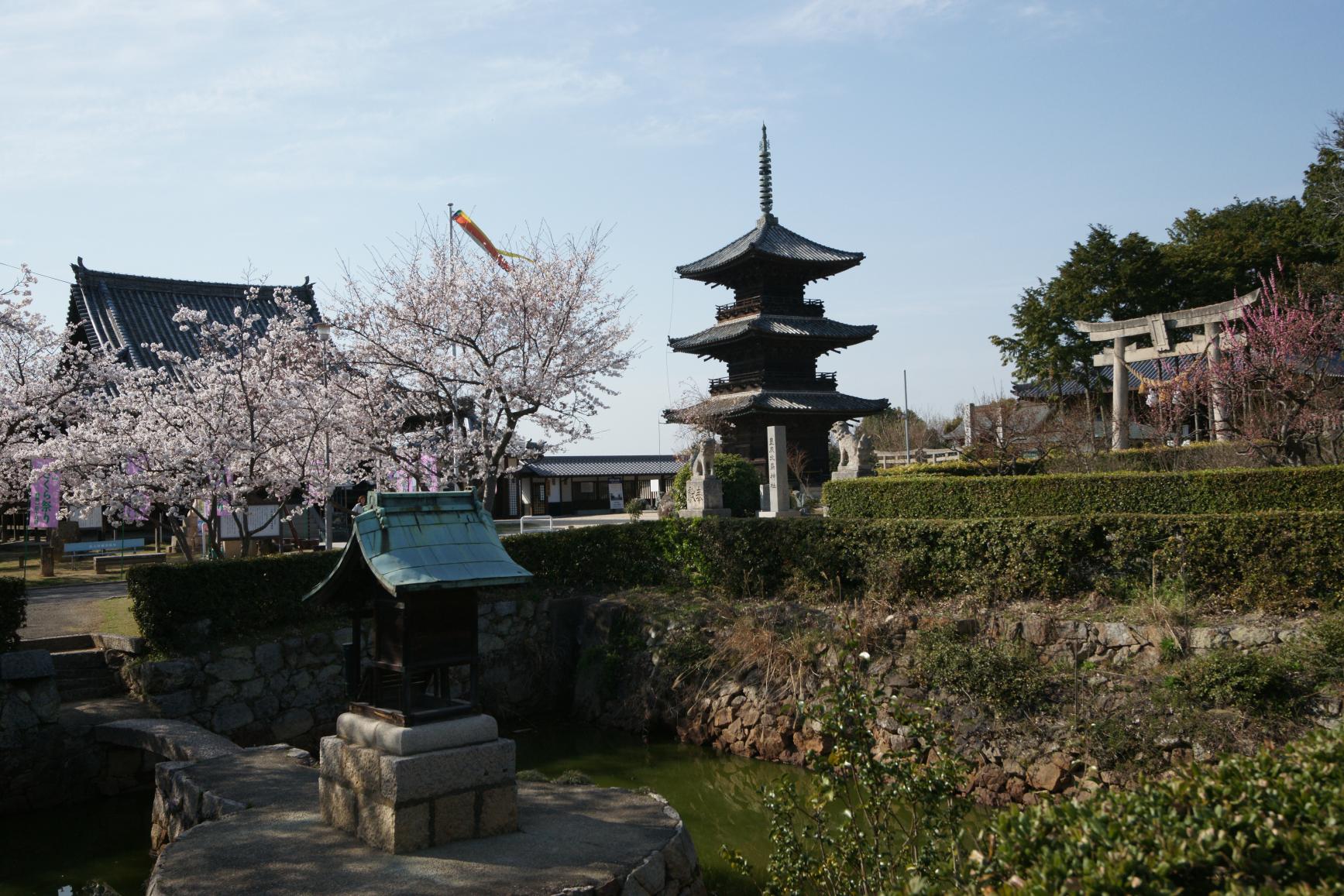 上寺山餘慶寺-1