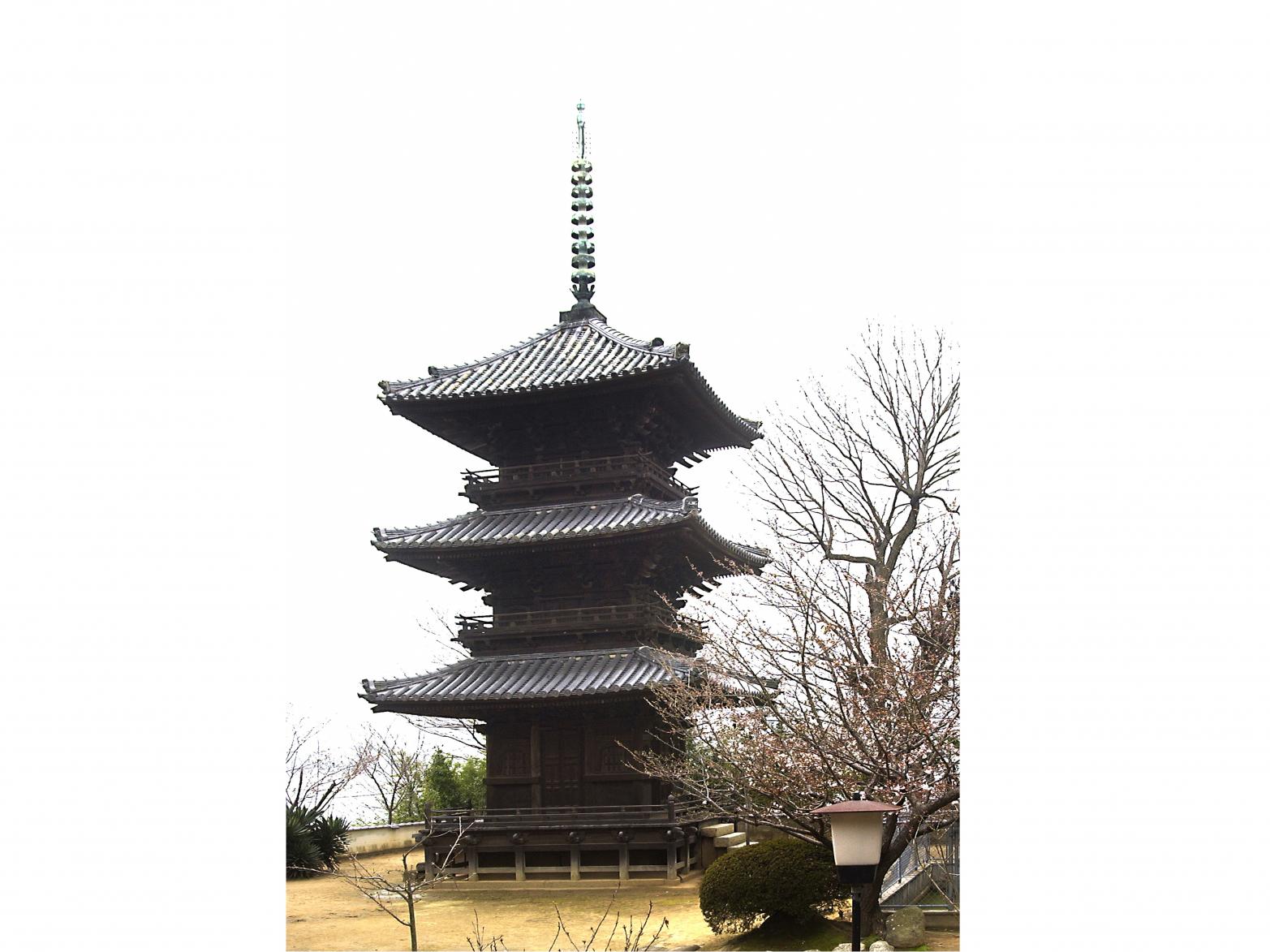 本蓮寺-1