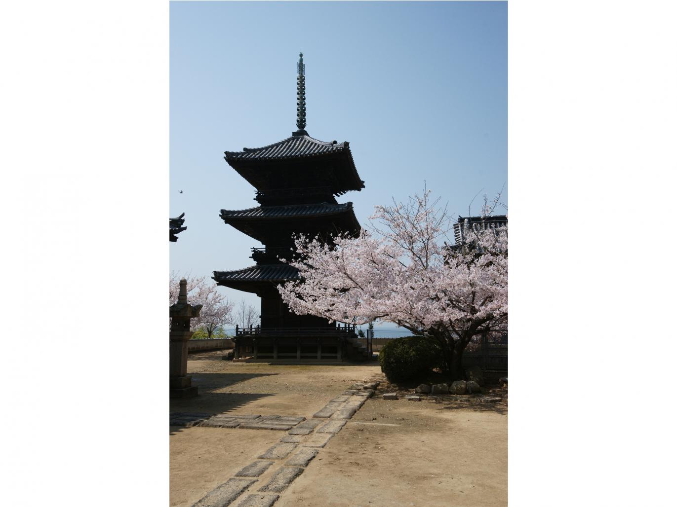 本蓮寺 スポット・体験 【公式】瀬戸内市公式観光サイト 瀬戸内市の旅