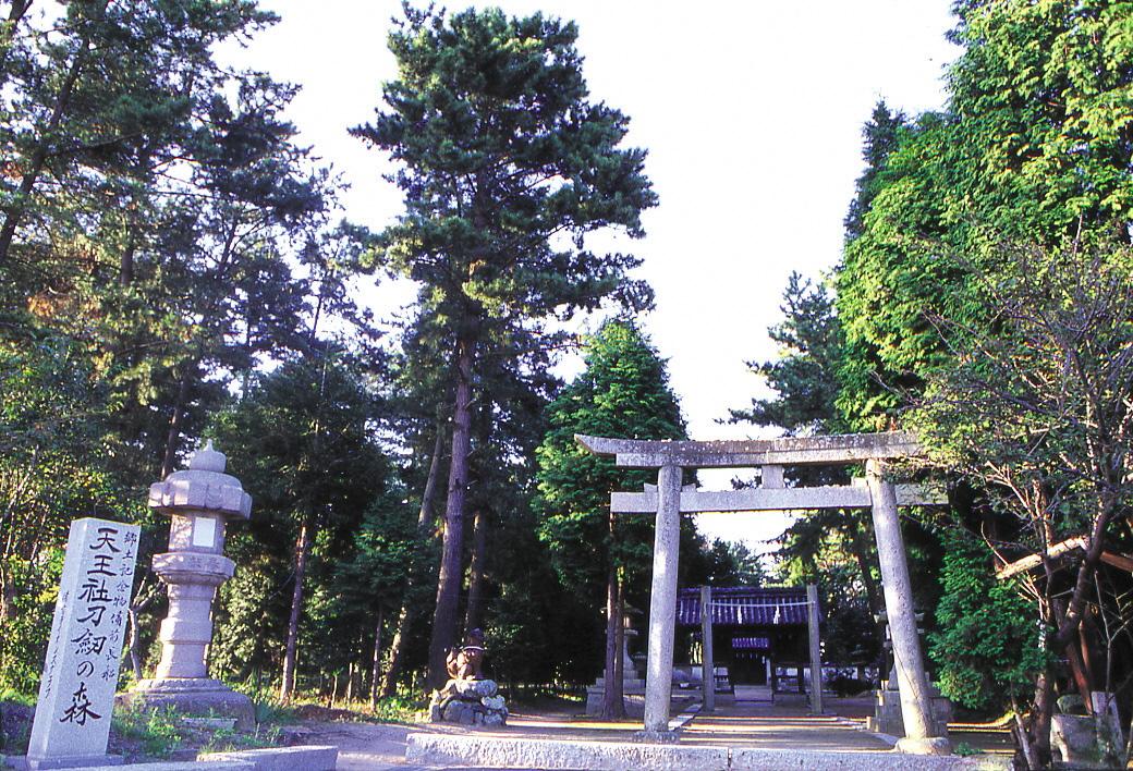 天王社刀剣の森・靱負神社-1