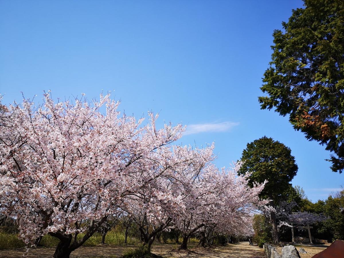 貴船神社-2