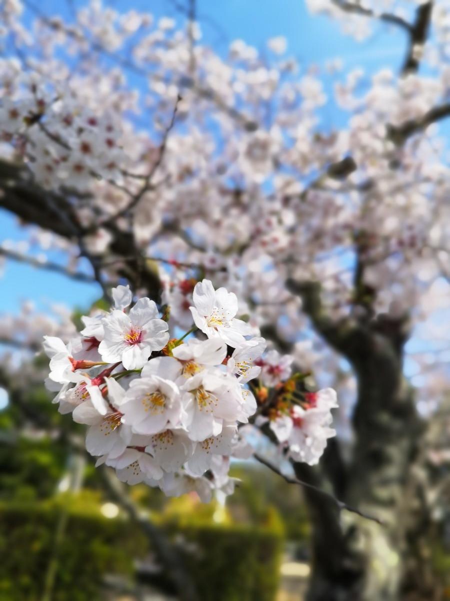 貴船神社-6