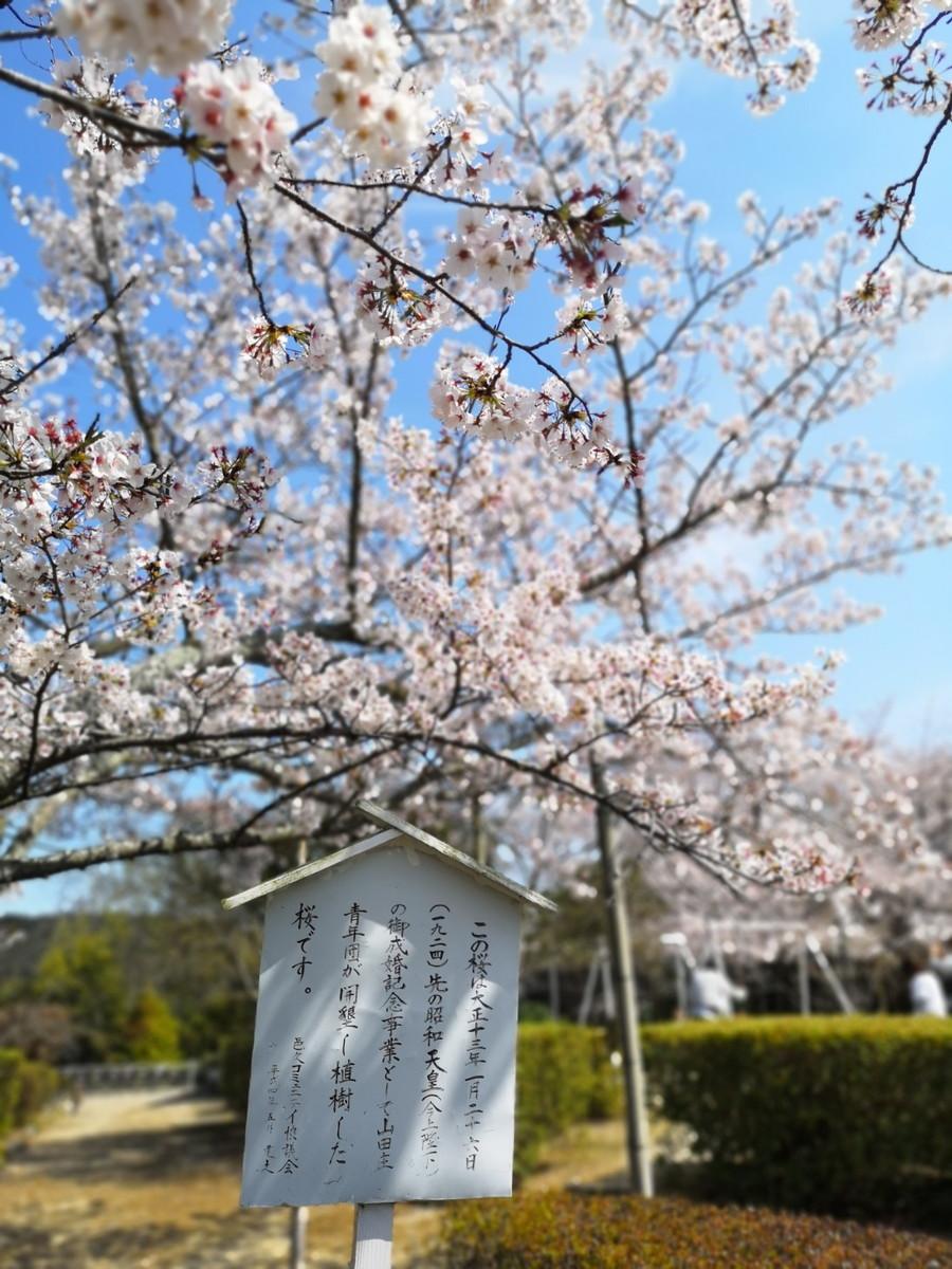 貴船神社-5