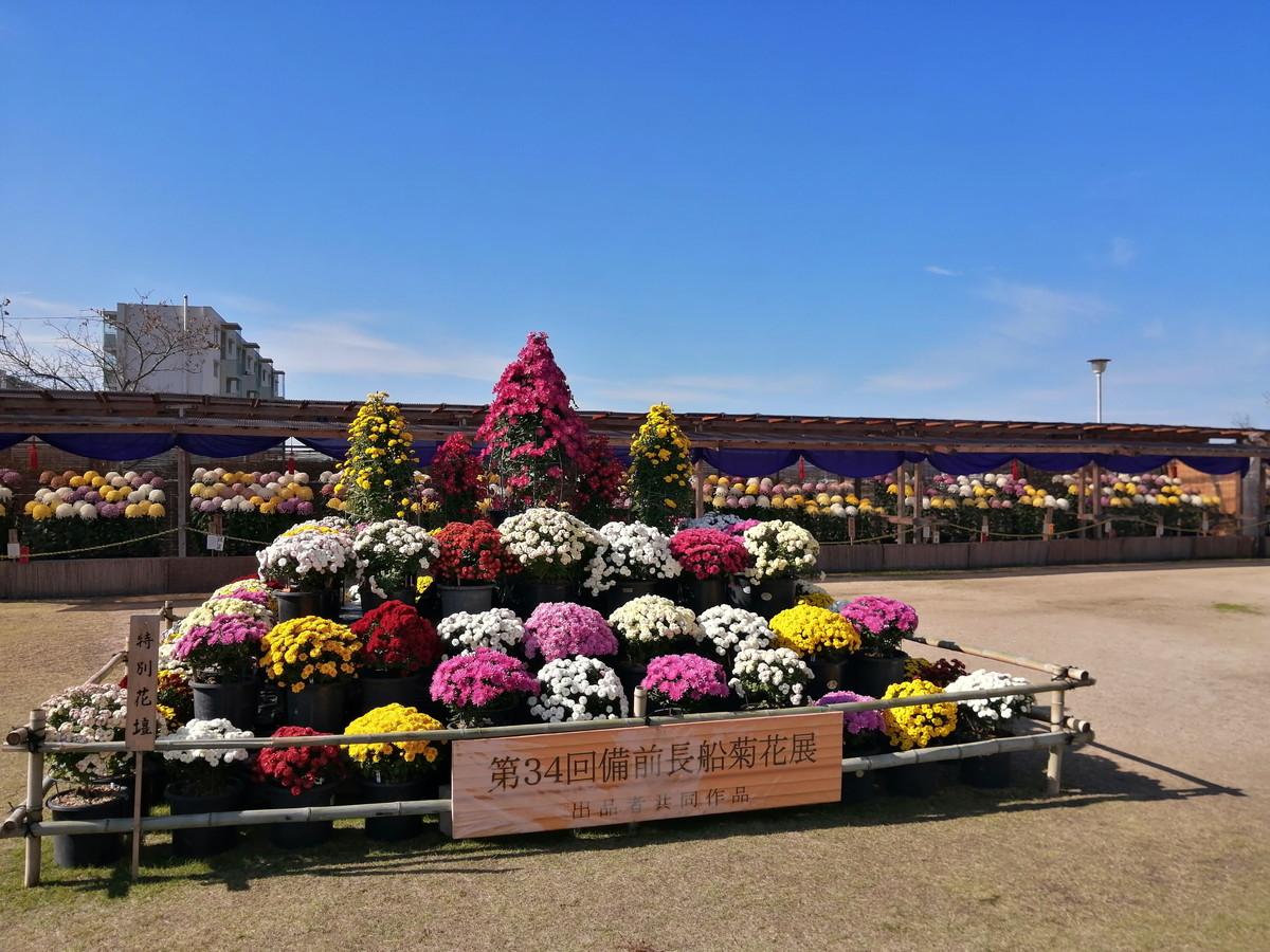 備前長船菊花展-1