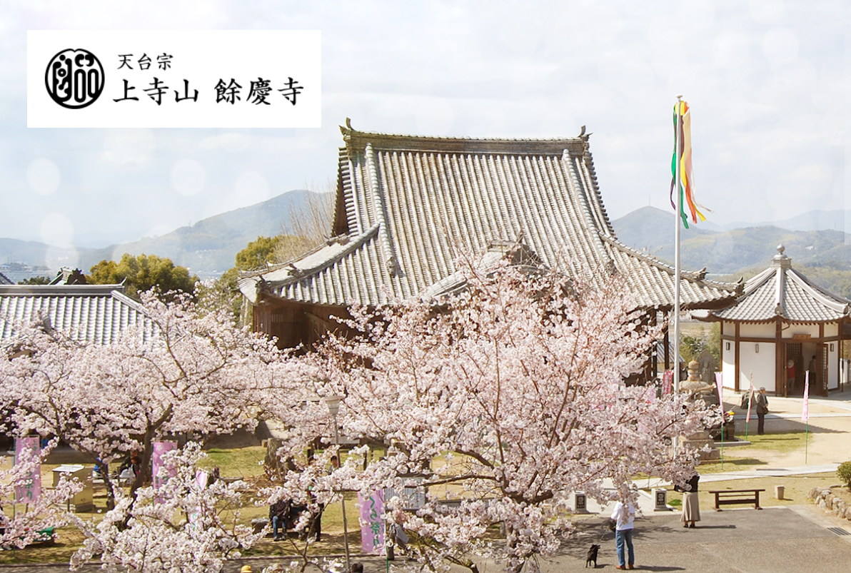 上寺山餘慶寺　桜まつり