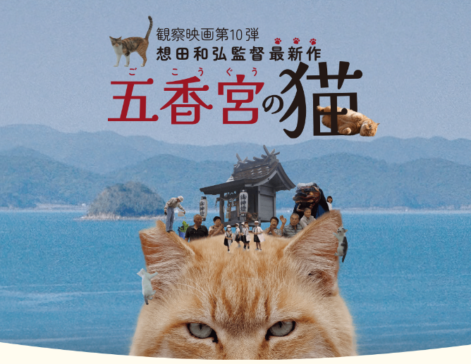 【映画】『五香宮の猫』-0