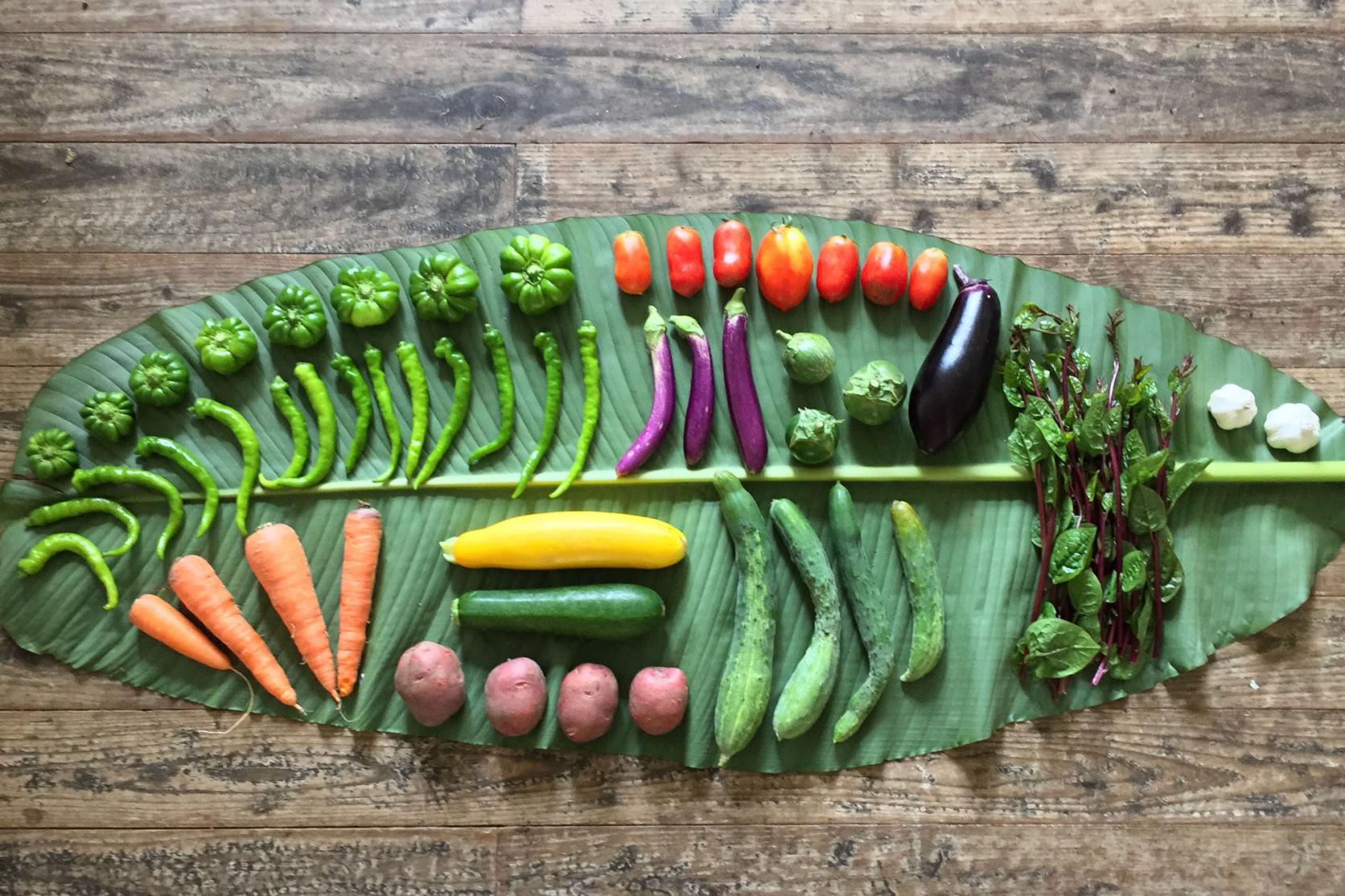【瀬戸内市食のしあわせプロジェクト】「自然栽培野菜のけんちん汁づくり体験」-0