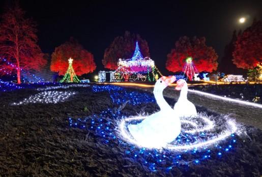 おかやまmuRataイルミネーション2025